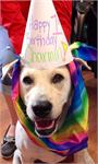 daycare pic - charmin bday